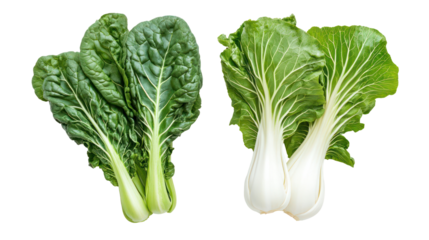Fresh chard and mustard greens overhead two sets side by side on transparent background