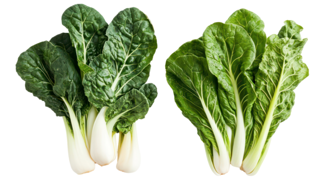 Fresh chard and mustard greens overhead two sets side by side on transparent background