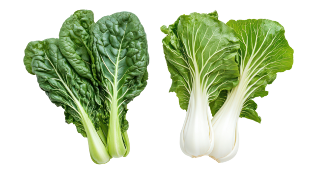 Fresh chard and mustard greens overhead two sets side by side on transparent background