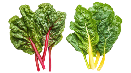 Fresh chard and mustard greens overhead two sets side by side on white background