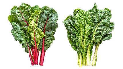 Fresh chard and mustard greens overhead two sets side by side on white background