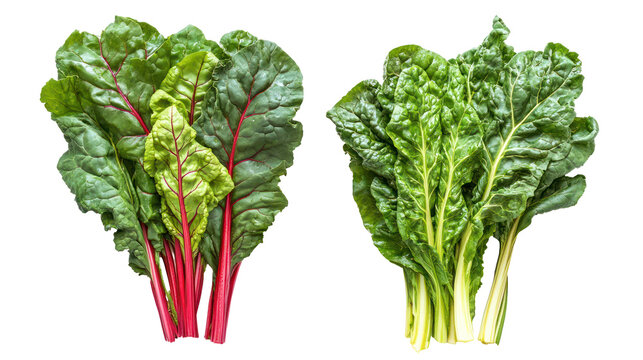 Fresh chard and mustard greens overhead two sets side by side on white background