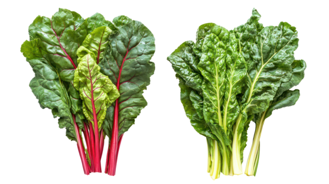 Fresh chard and mustard greens overhead two sets side by side on white background