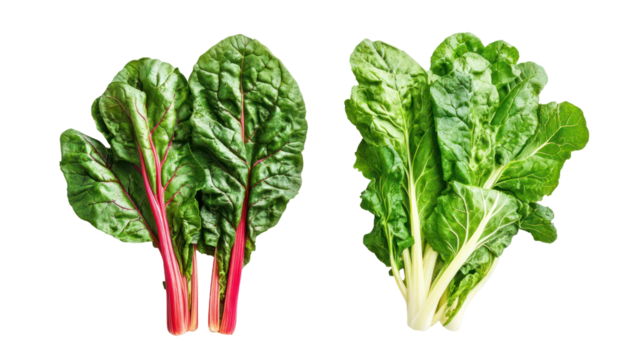 Fresh chard and mustard greens overhead two sets side by side on white background