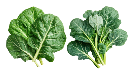 Fresh fenugreek leaves and kale overhead two sets side by side on transparent background