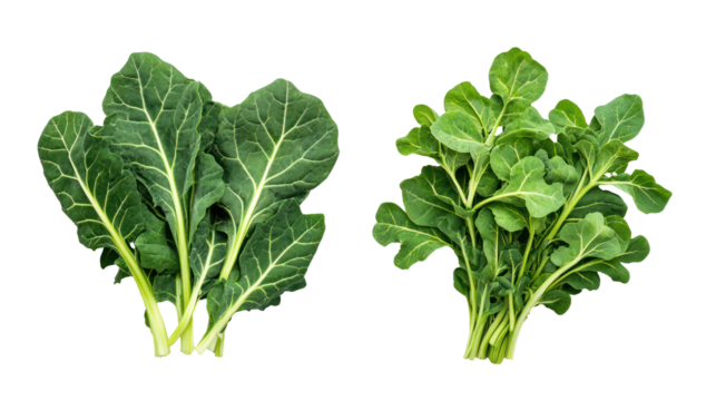 Fresh fenugreek leaves and kale overhead two sets side by side on transparent background