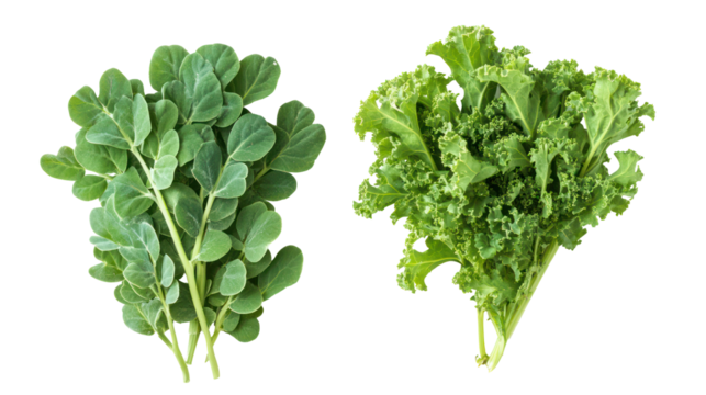 Fresh fenugreek leaves and kale overhead two sets side by side on transparent background