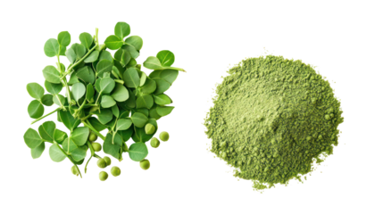 Fresh fenugreek leaves and powder isolated on transparent background