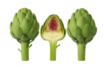 Fresh green artichokes, one whole and one cut in half, showing edible heart and vibrant purple interior, on transparent background