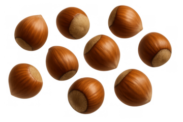 Hazelnuts falling creating a dynamic pattern, delicious crunchy snacks with transparent background