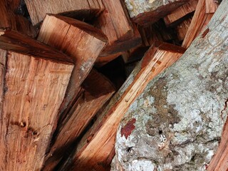 Pile of wood in the countryside