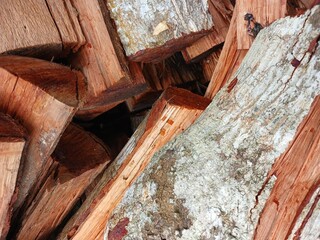 Pile of wood in the countryside