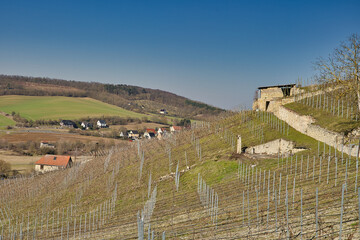 Malerische Weinberge an Saale und Unstrut, Historisches Weinanbaugebiet Mitteldeutschland, Naumburg, Freyburg, Kulturlandschaft, Burgenlandkreis, Sachsen Anhalt, Deutschland
