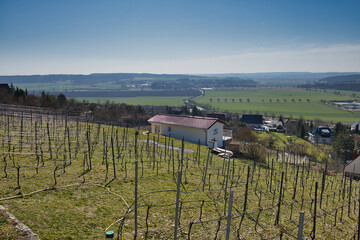 Malerische Weinberge an Saale und Unstrut, Historisches Weinanbaugebiet Mitteldeutschland, Naumburg, Freyburg, Kulturlandschaft, Burgenlandkreis, Sachsen Anhalt, Deutschland