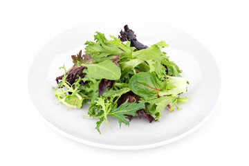 Fresh Mesclun Spring Mix Salad Close-Up – Baby Greens, Spinach & Lettuce on white plate