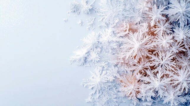 Detailed frost formations with delicate crystalline structures, resembling snowflakes, spread across a light blue surface, creating a wintery texture. - Powered by Adobe