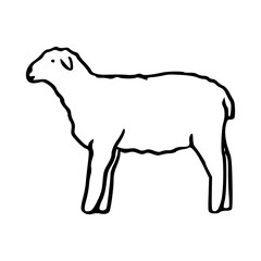 sheep outline vector illustration