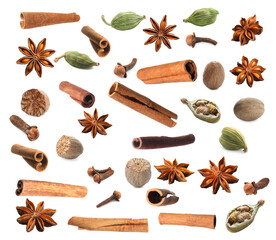 Set of different Christmas spices on white background. Anise, nutmeg, cardamom, clove and cinnamon