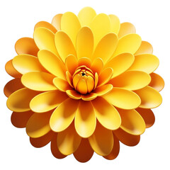 Beautiful yellow dahlia flower isolated on transparent background, top view