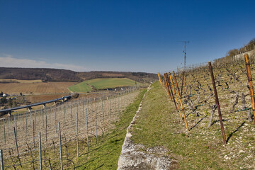 Malerische Weinberge an Saale und Unstrut | Historisches Weinanbaugebiet Mitteldeutschland | Naumburg Freyburg | Kulturlandschaft, Deutschland