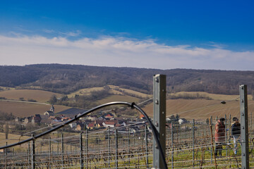 Malerische Weinberge an Saale und Unstrut | Historisches Weinanbaugebiet Mitteldeutschland | Naumburg Freyburg | Kulturlandschaft, Deutschland