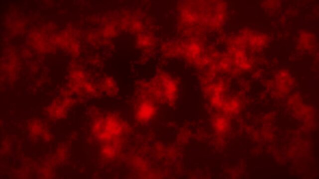 Abstract red background with blurred, glowing shapes creating a dark, textured effect.