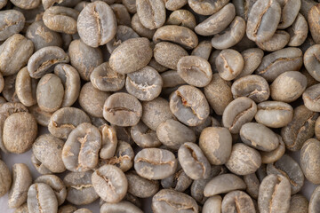 Close up of Unroasted Green Coffee Beans