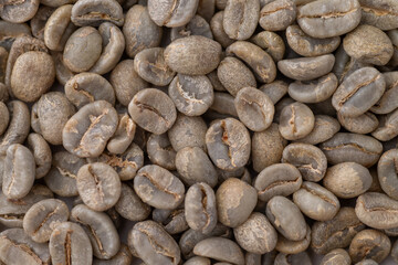 Close up of Unroasted Green Coffee Beans