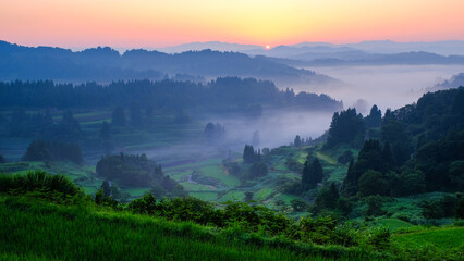 星峠の棚田　夜明け
