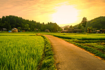 荻ノ島環状集落　夏　夕暮れ