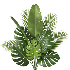 Close-up of a vibrant arrangement of tropical green leaves, showcasing various shapes and textures.