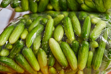 Fresh cucumbers in plastic bag for sale in the market