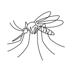 Detailed line drawing of a mosquito insect