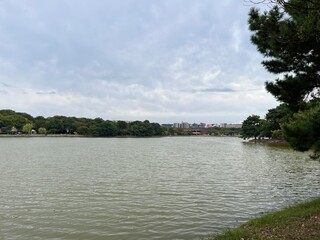 Fototapeta premium 大濠公園の池