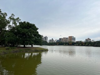 Fototapeta premium 大濠公園の池