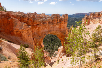 View of Bryce Canyon National Park in southern Utah, USA. 
Bryce Canyon National Park is known for crimson-colored hoodoos, which are spire-shaped rock formations. 