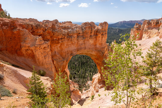 View of Bryce Canyon National Park in southern Utah, USA. 
Bryce Canyon National Park is known for crimson-colored hoodoos, which are spire-shaped rock formations. 