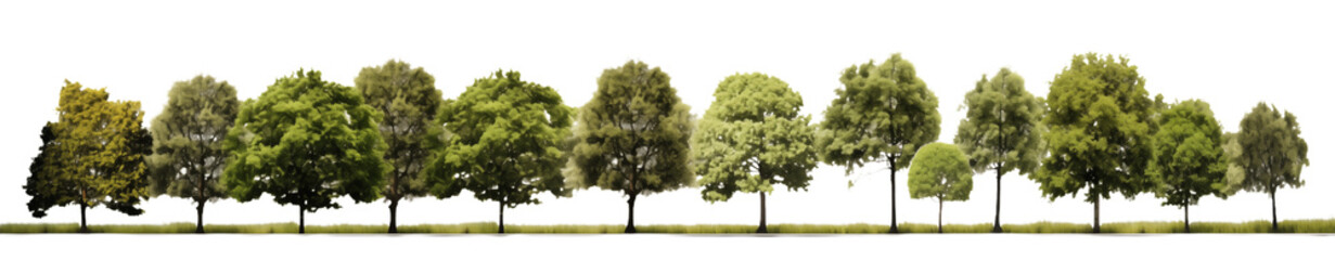 Fototapeta premium Lush Green Tree Line Isolated on White for Landscape & Design Elements on transparent background png