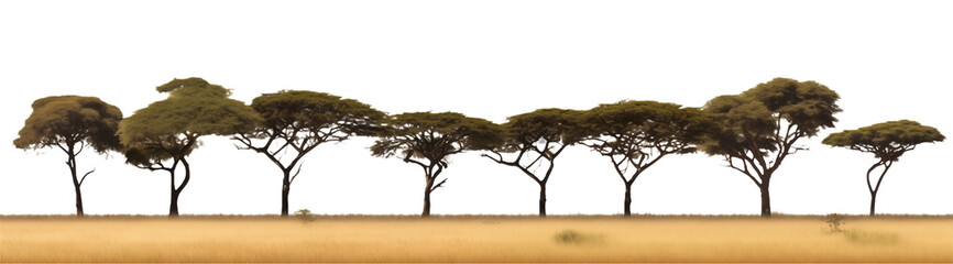 Obraz premium Savanna Tree Line Graphic on Arid Landscape Background on transparent background png