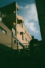 Person Photographing Grilled Skewers at Night Market in Myeongdong, Seoul