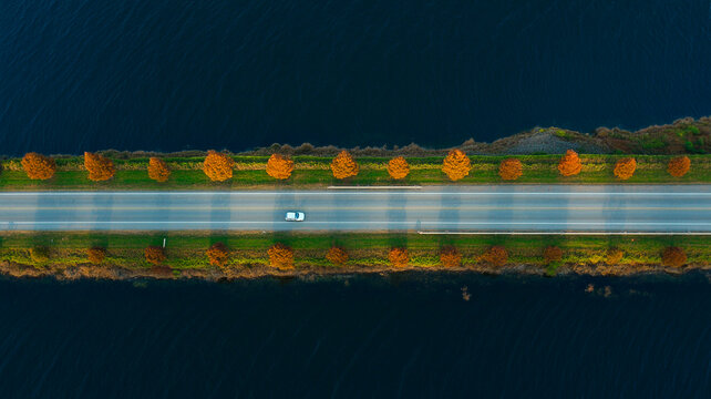 Aerial view of road with car surrounded by trees and water at sunset