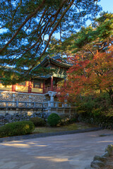 Autumn scenery of Bulguksa Temple in Gyeongju, Korea, with its beautiful red maple trees.