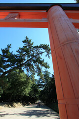 奈良公園　春日大社一の鳥居