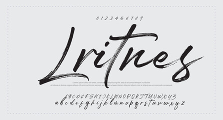 Signature Font Calligraphy Monoline Script Brush Font Type Font lettering handwritten