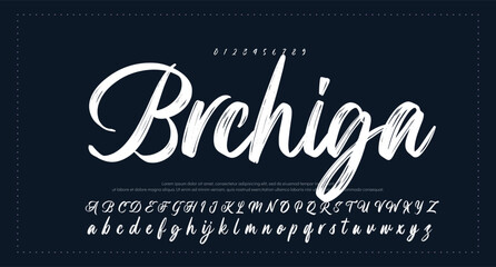 Signature Font Calligraphy Logotype Script Font Type Font lettering handwritten