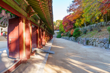 Autumn scenery of Bulguksa Temple in Gyeongju, Korea, with its beautiful red maple trees.