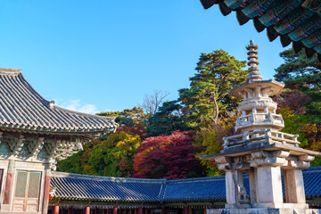 Autumn scenery of Bulguksa Temple in Gyeongju, Korea, with its beautiful red maple trees.