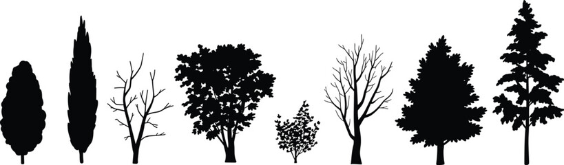 Silhouette of various tree types, botanical diversity, seasonal foliage, nature shapes, forest elements, landscape design, bare and leafy trees