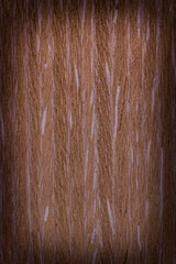 old wood with vignetting effect. an old board. old wood background, base, substrate, retro, vintage,
 . brown, red, gold, a place for a text or object,  frame, . the effect of aging, close-up.