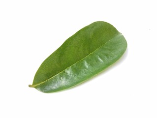 Soursop leaf (annona muricata) isolated on white background 